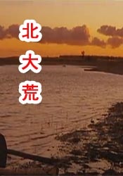 久久久久久久成人午夜精品福利