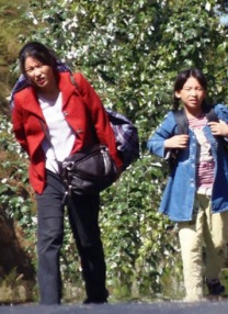 青草青在线视频